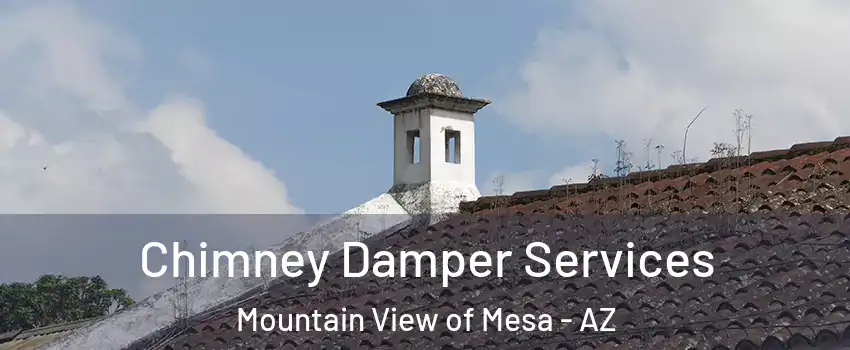 Chimney Damper Services Mountain View of Mesa - AZ