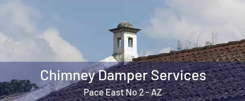 Chimney Damper Services Pace East No 2 - AZ