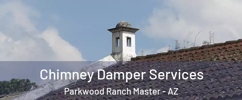 Chimney Damper Services Parkwood Ranch Master - AZ