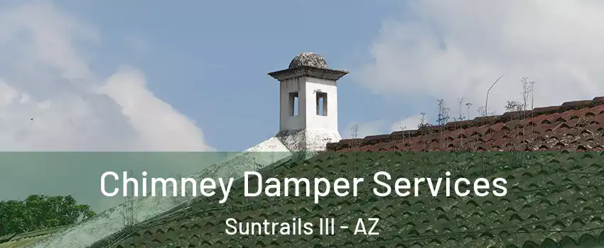 Chimney Damper Services Suntrails III - AZ