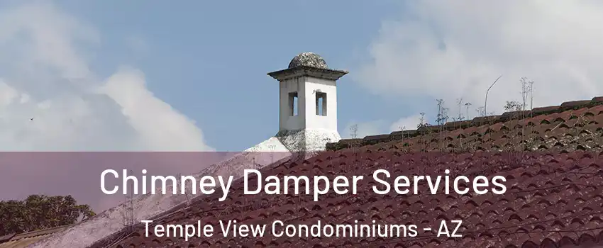Chimney Damper Services Temple View Condominiums - AZ