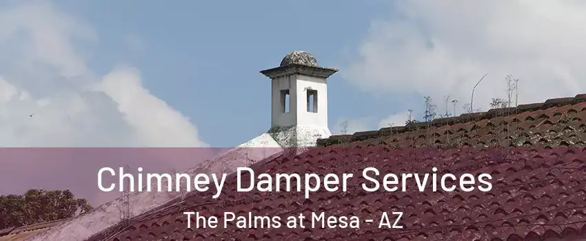 Chimney Damper Services The Palms at Mesa - AZ