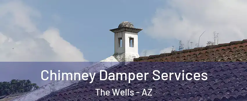 Chimney Damper Services The Wells - AZ