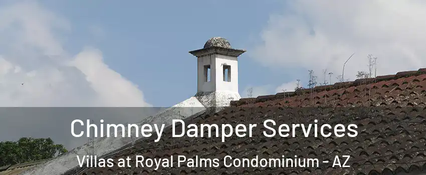 Chimney Damper Services Villas at Royal Palms Condominium - AZ