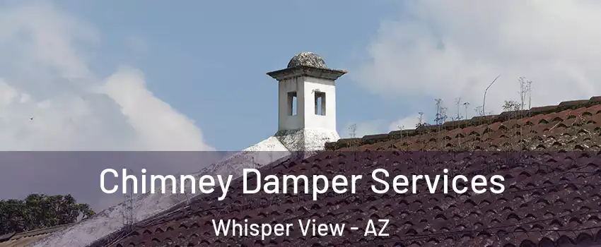 Chimney Damper Services Whisper View - AZ