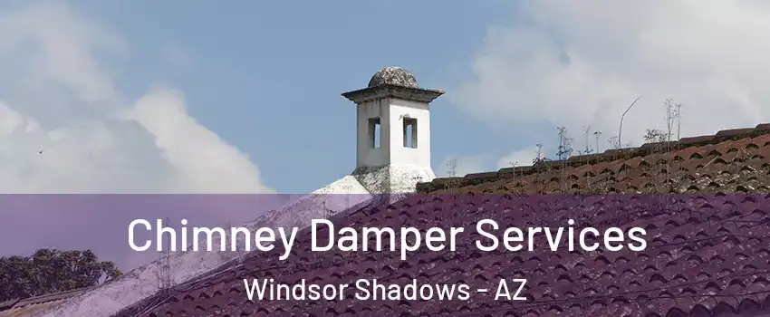 Chimney Damper Services Windsor Shadows - AZ