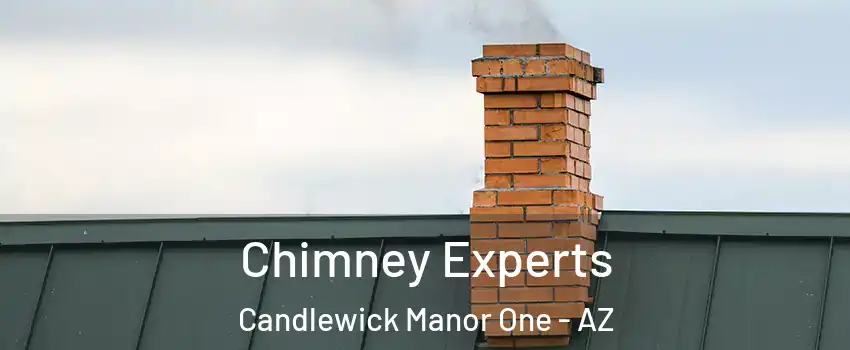 Chimney Experts Candlewick Manor One - AZ