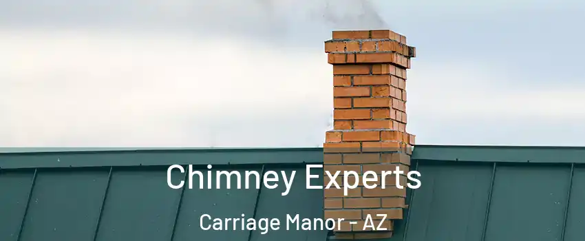 Chimney Experts Carriage Manor - AZ