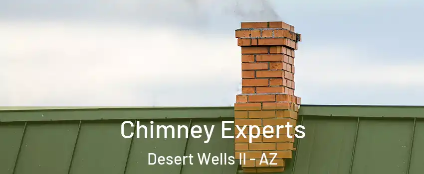 Chimney Experts Desert Wells II - AZ