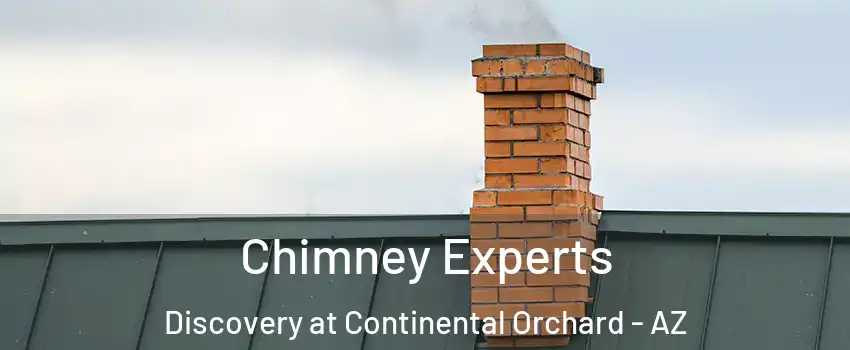 Chimney Experts Discovery at Continental Orchard - AZ