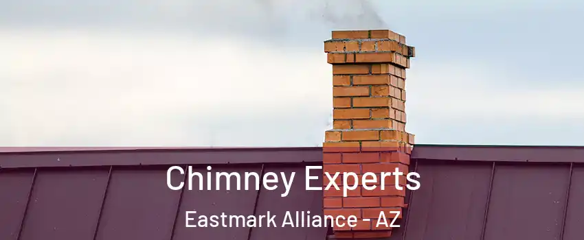 Chimney Experts Eastmark Alliance - AZ