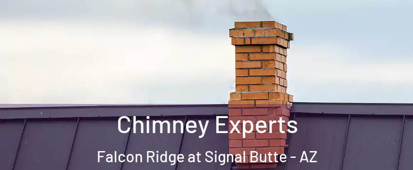 Chimney Experts Falcon Ridge at Signal Butte - AZ