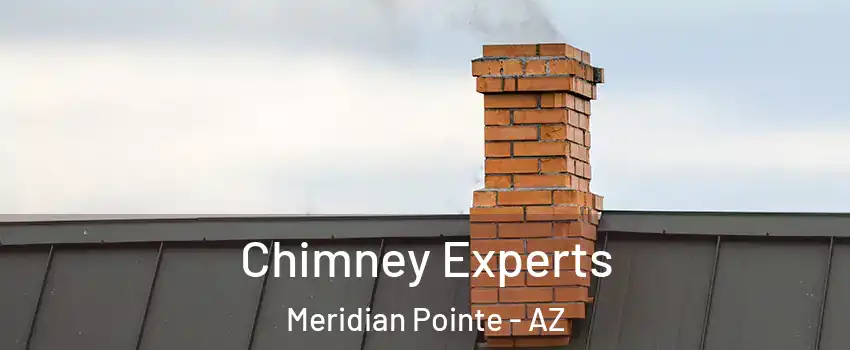 Chimney Experts Meridian Pointe - AZ
