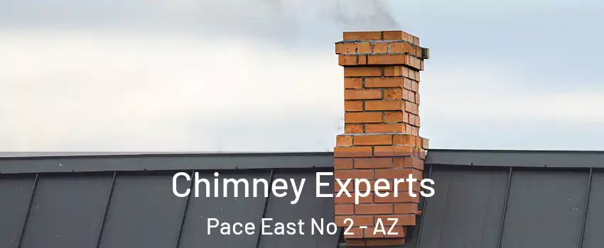 Chimney Experts Pace East No 2 - AZ