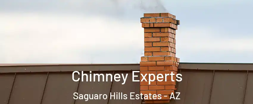 Chimney Experts Saguaro Hills Estates - AZ