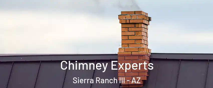 Chimney Experts Sierra Ranch III - AZ