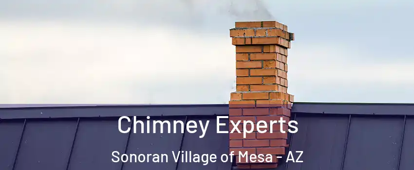 Chimney Experts Sonoran Village of Mesa - AZ