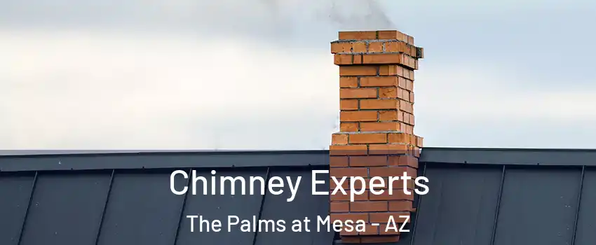 Chimney Experts The Palms at Mesa - AZ