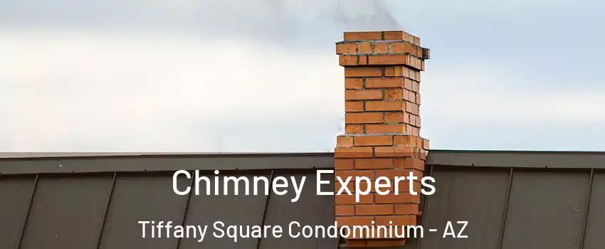 Chimney Experts Tiffany Square Condominium - AZ