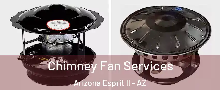 Chimney Fan Services Arizona Esprit II - AZ