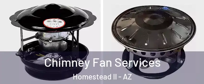 Chimney Fan Services Homestead II - AZ