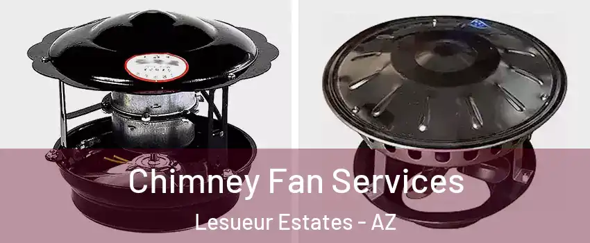 Chimney Fan Services Lesueur Estates - AZ
