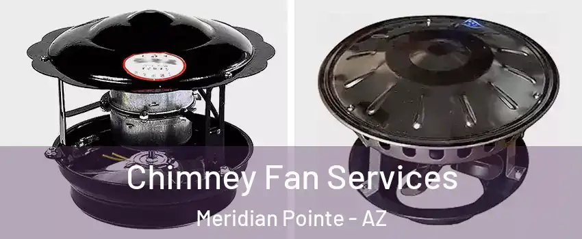 Chimney Fan Services Meridian Pointe - AZ