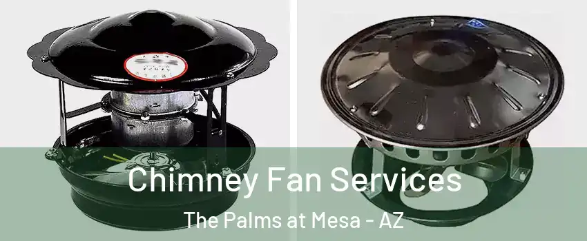 Chimney Fan Services The Palms at Mesa - AZ