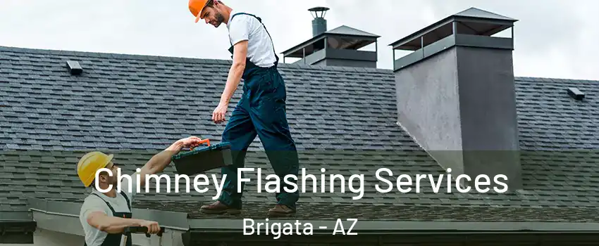 Chimney Flashing Services Brigata - AZ