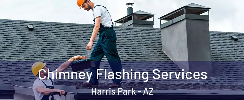 Chimney Flashing Services Harris Park - AZ