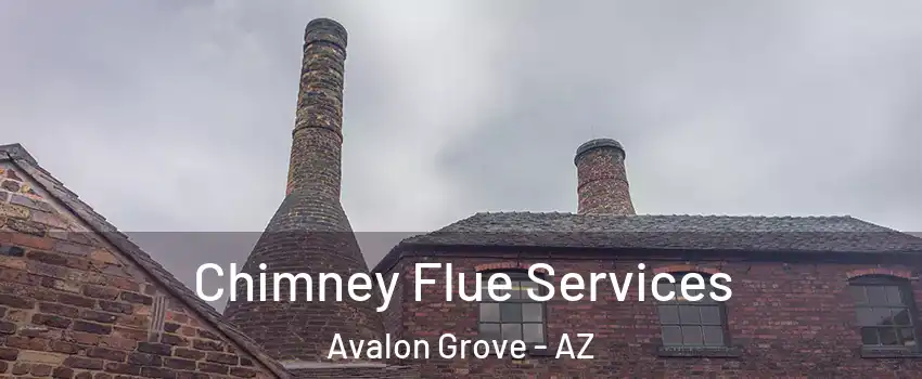 Chimney Flue Services Avalon Grove - AZ