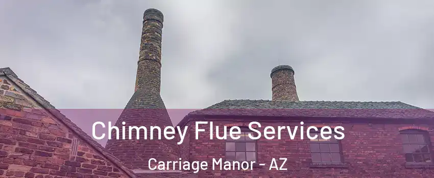 Chimney Flue Services Carriage Manor - AZ