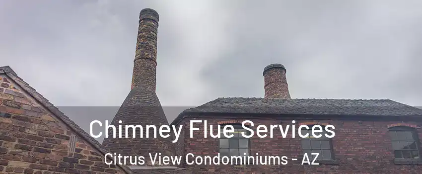 Chimney Flue Services Citrus View Condominiums - AZ