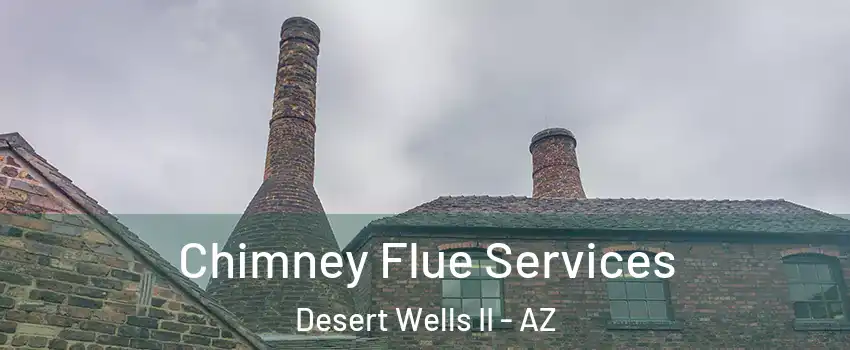 Chimney Flue Services Desert Wells II - AZ