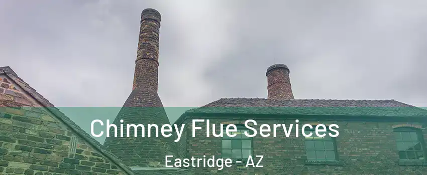 Chimney Flue Services Eastridge - AZ