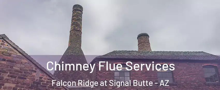 Chimney Flue Services Falcon Ridge at Signal Butte - AZ