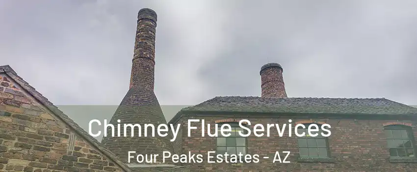 Chimney Flue Services Four Peaks Estates - AZ