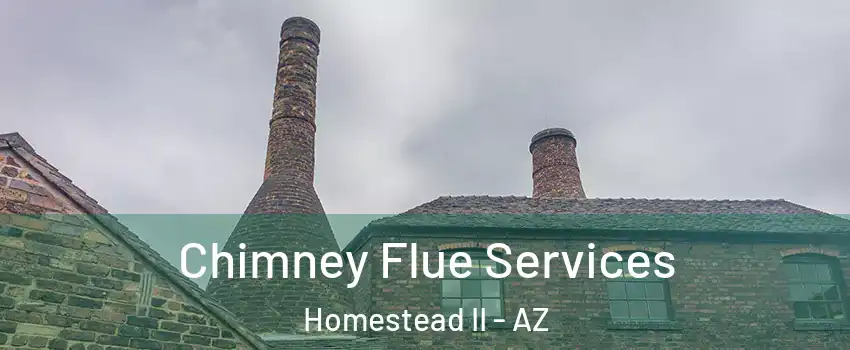 Chimney Flue Services Homestead II - AZ