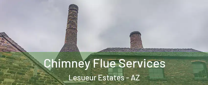 Chimney Flue Services Lesueur Estates - AZ