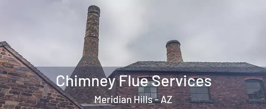 Chimney Flue Services Meridian Hills - AZ