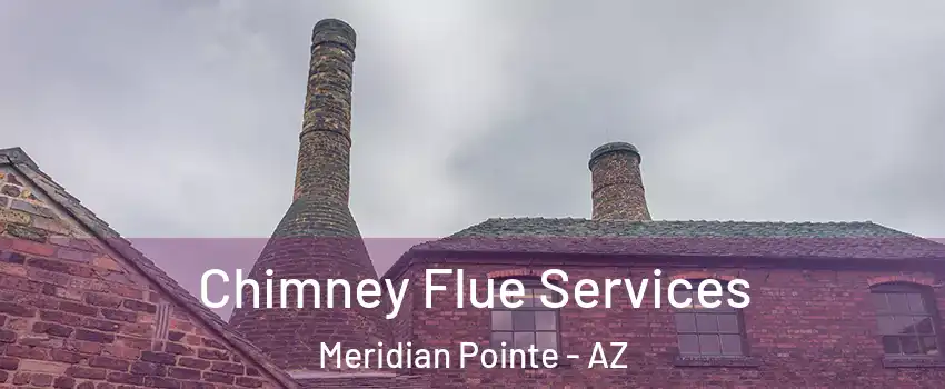 Chimney Flue Services Meridian Pointe - AZ