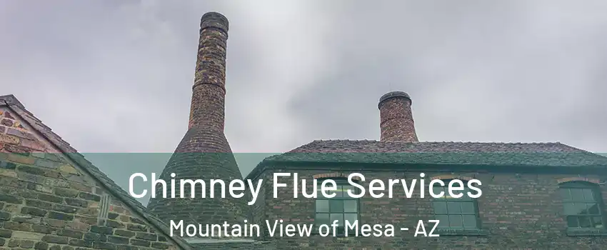 Chimney Flue Services Mountain View of Mesa - AZ