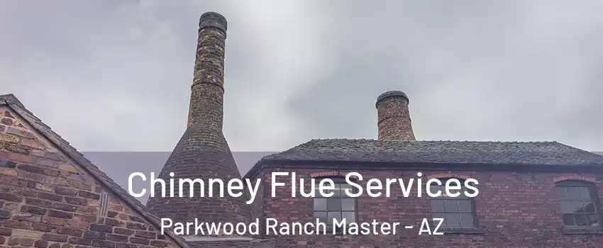Chimney Flue Services Parkwood Ranch Master - AZ