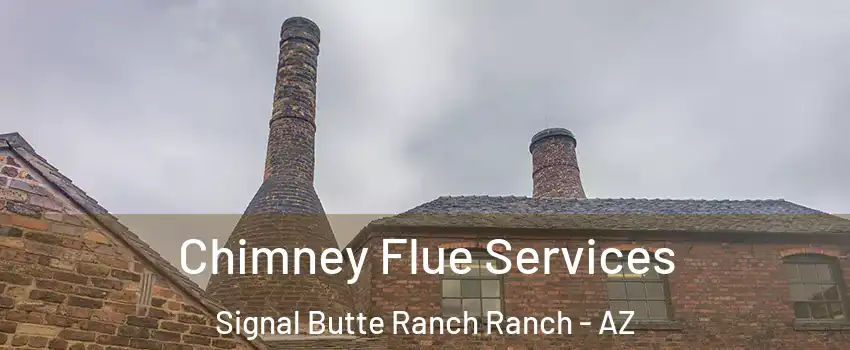 Chimney Flue Services Signal Butte Ranch Ranch - AZ
