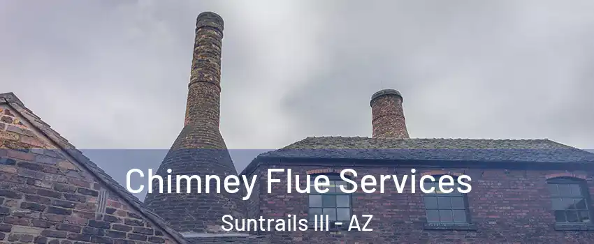 Chimney Flue Services Suntrails III - AZ