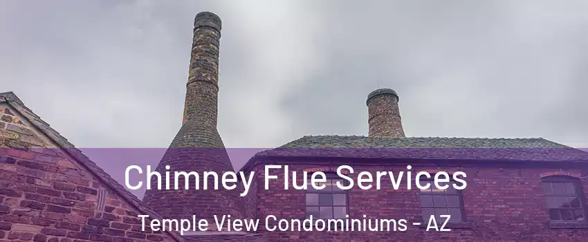 Chimney Flue Services Temple View Condominiums - AZ