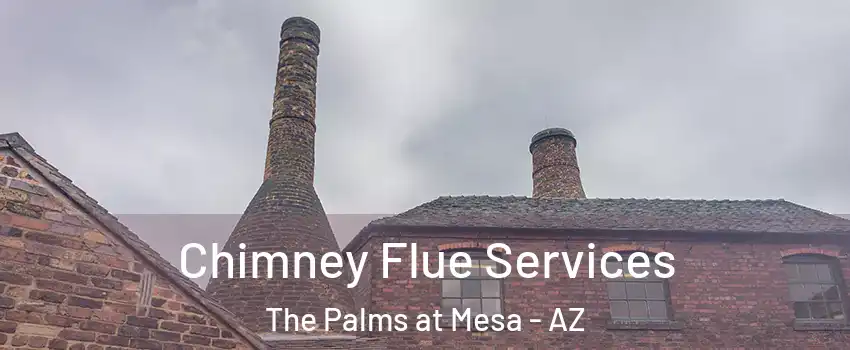 Chimney Flue Services The Palms at Mesa - AZ