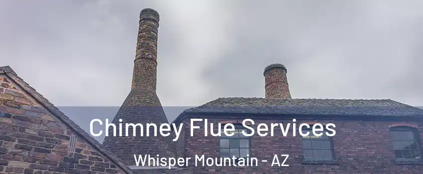 Chimney Flue Services Whisper Mountain - AZ
