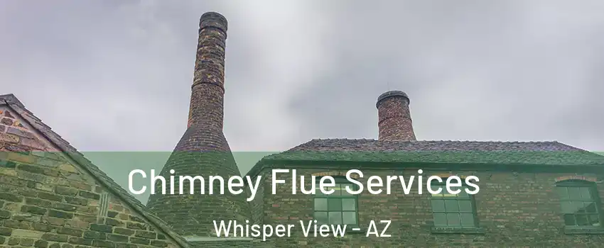 Chimney Flue Services Whisper View - AZ