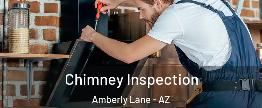 Chimney Inspection Amberly Lane - AZ